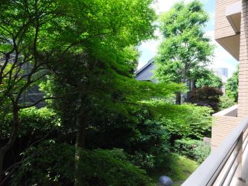 周辺／眺望(2025年6月)