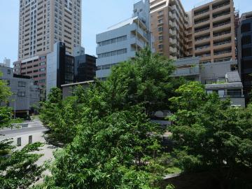 周辺／眺望(2025年8月)