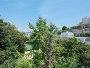 周辺／眺望(2025年10月)