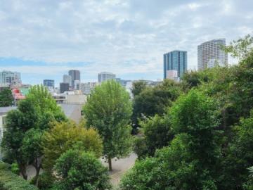 周辺／眺望(2025年10月)